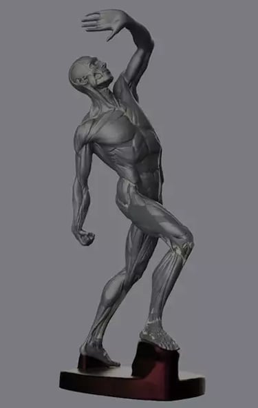 what-is-digital-ecorche-mob